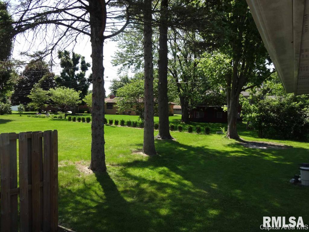 112 Willow Road Rochester, IL 62563 - Photo 6 of 28