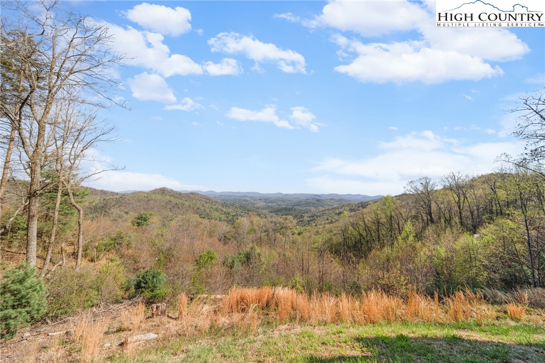 196 Eagle Nest Road Purlear, NC 28665 - Photo 36 of 36 a view of mountain