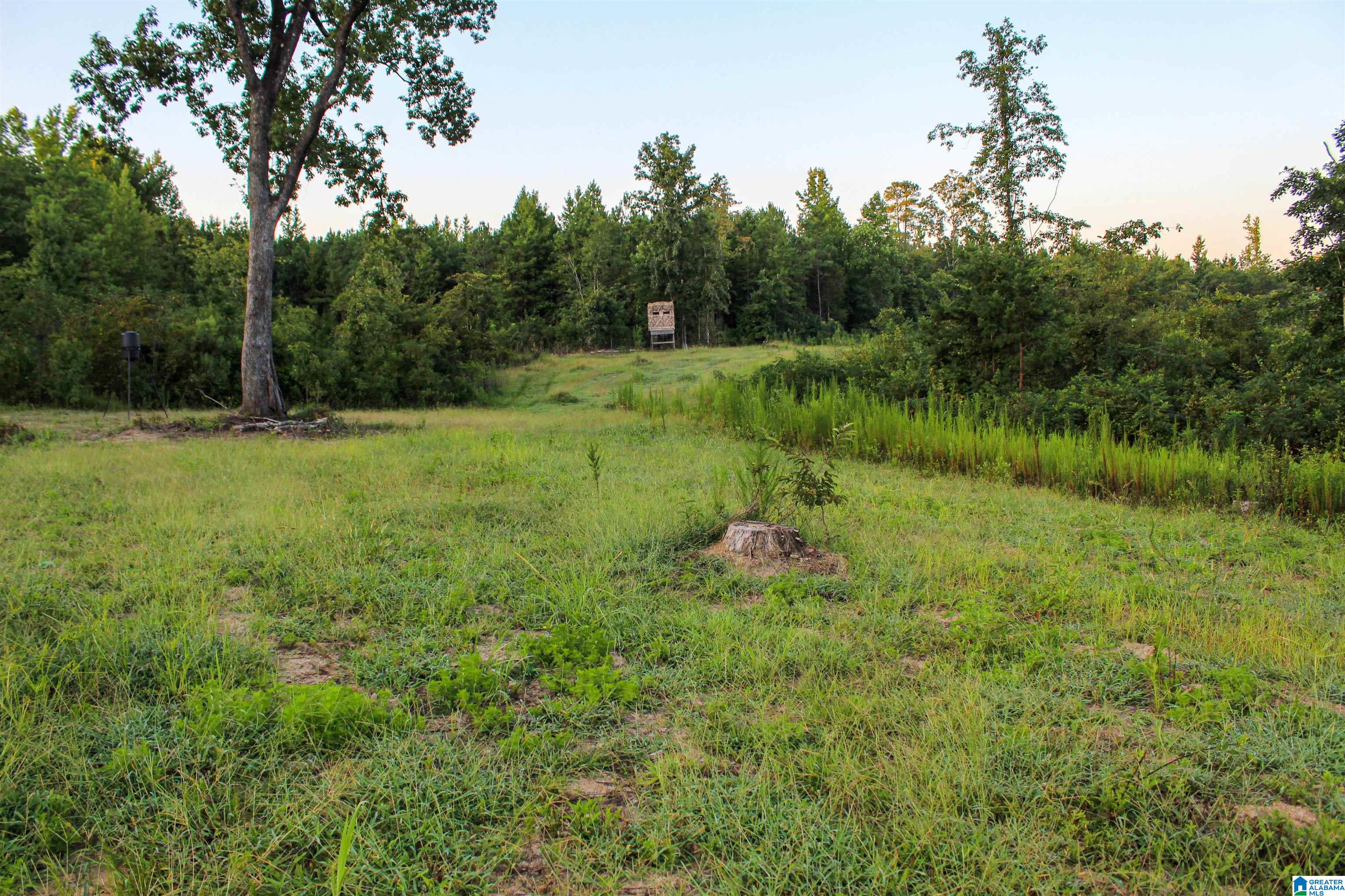 Bonner Drive, Unit 1 Berry, AL 35546 - Photo 36 of 56