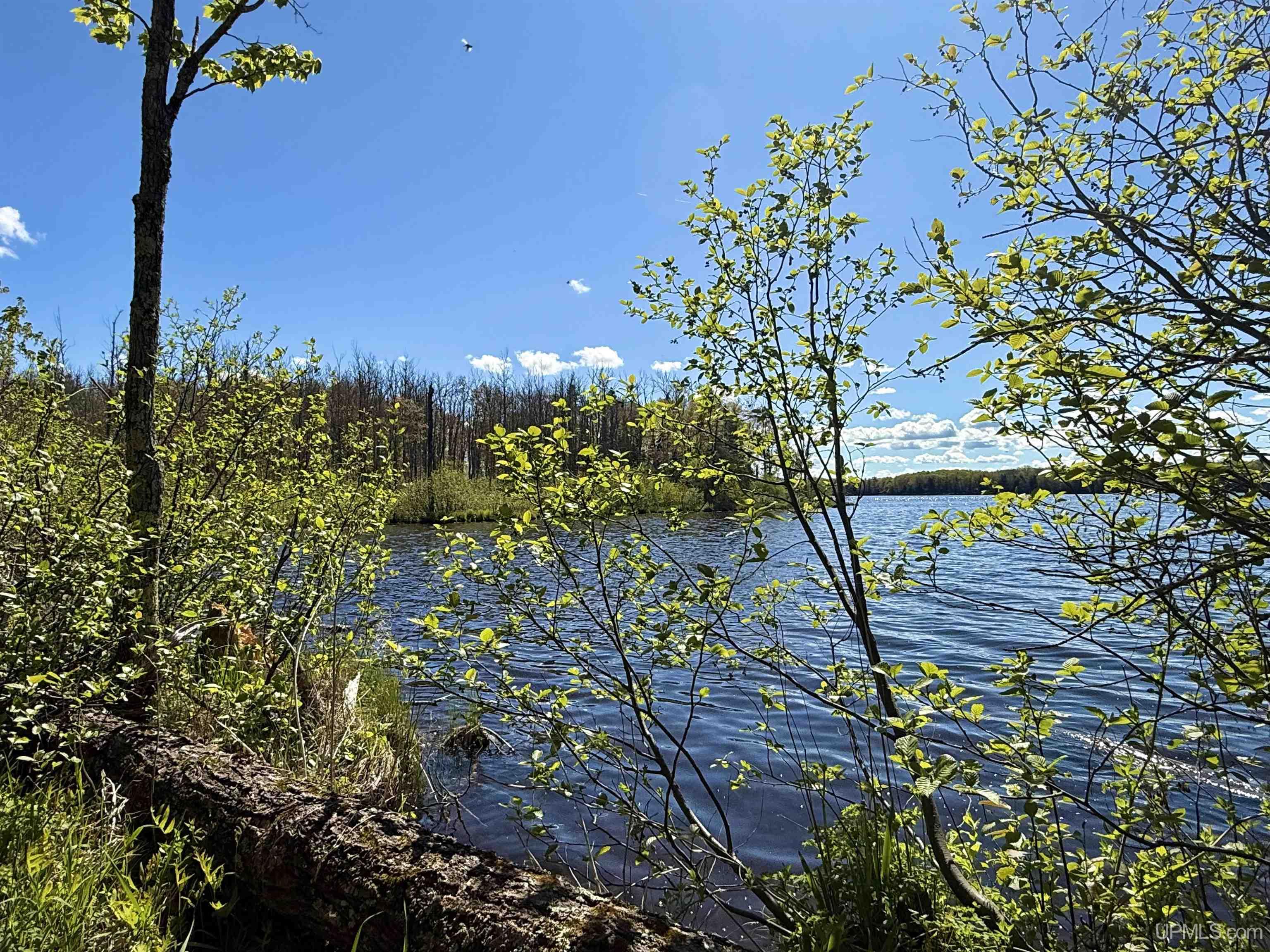 Langford Lake Road Watersmeet, MI 49969 - Photo 4 of 23