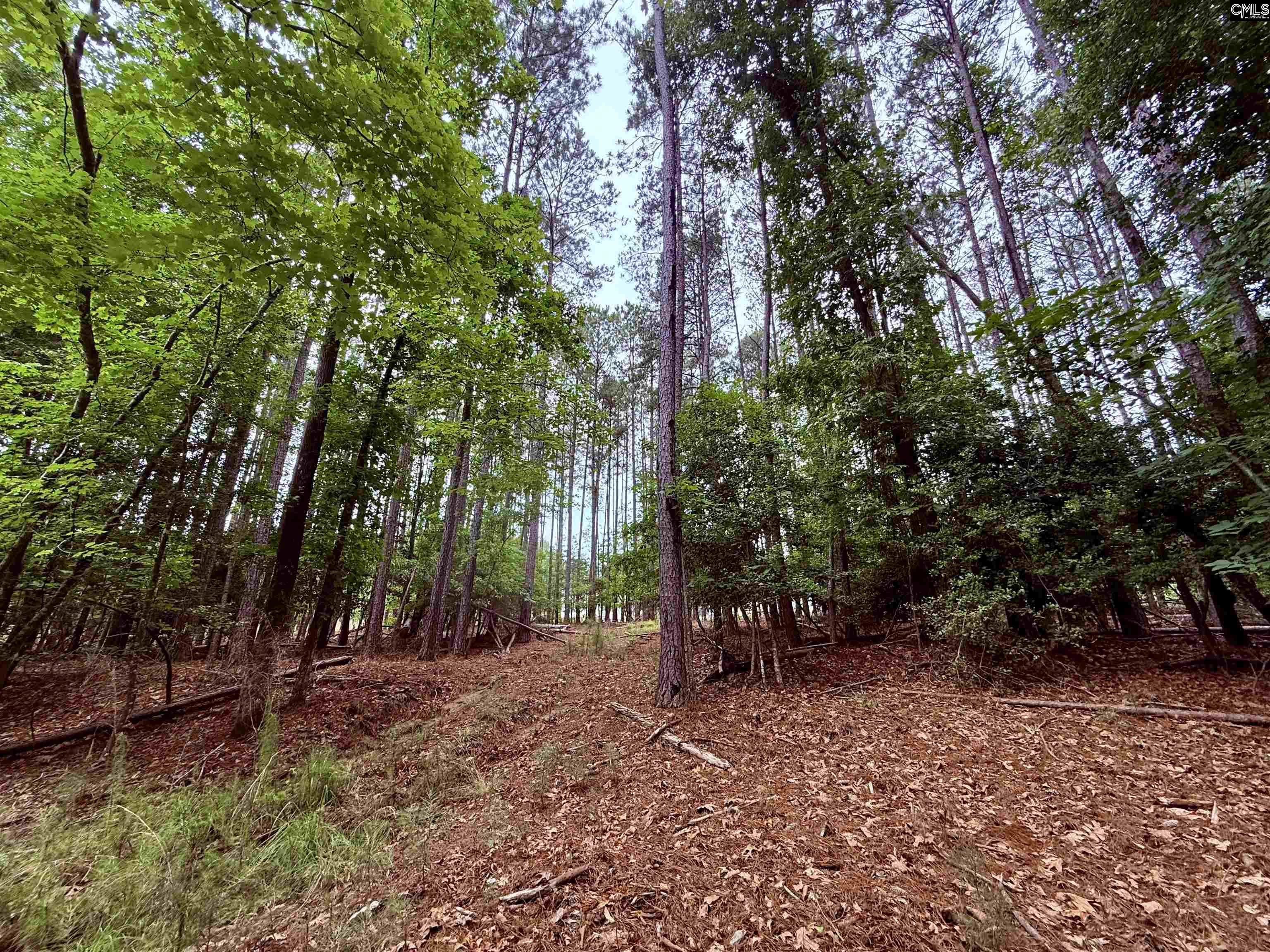 85 Timber Trl Lane Prosperity, SC 29127 - Photo 11 of 19