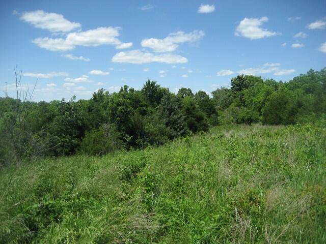 1234 C Rutherford School Road Lawrenceburg, KY 40342 - Photo 4 of 14 IMG_0429 (Small)