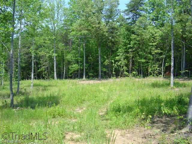 226 Grogan Road Stoneville, NC 27048 - Photo 2 of 9 Other.
