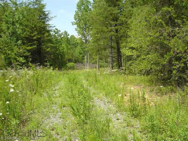 226 Grogan Road Stoneville, NC 27048 - Photo 3 of 9 Other.
