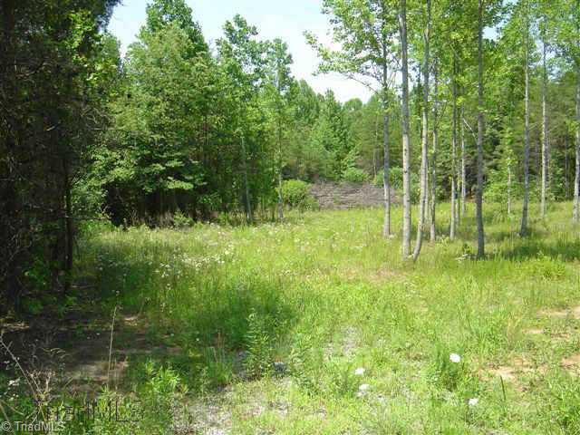 226 Grogan Road Stoneville, NC 27048 - Photo 4 of 9 Other.