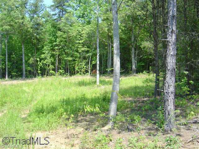 226 Grogan Road Stoneville, NC 27048 - Photo 5 of 9 Other.