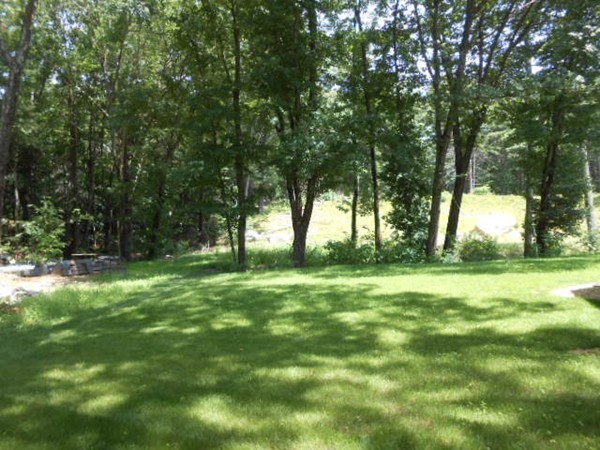211 Randall Road Stow, MA 01775 - Photo 25 of 30 a view of a trees in a yard