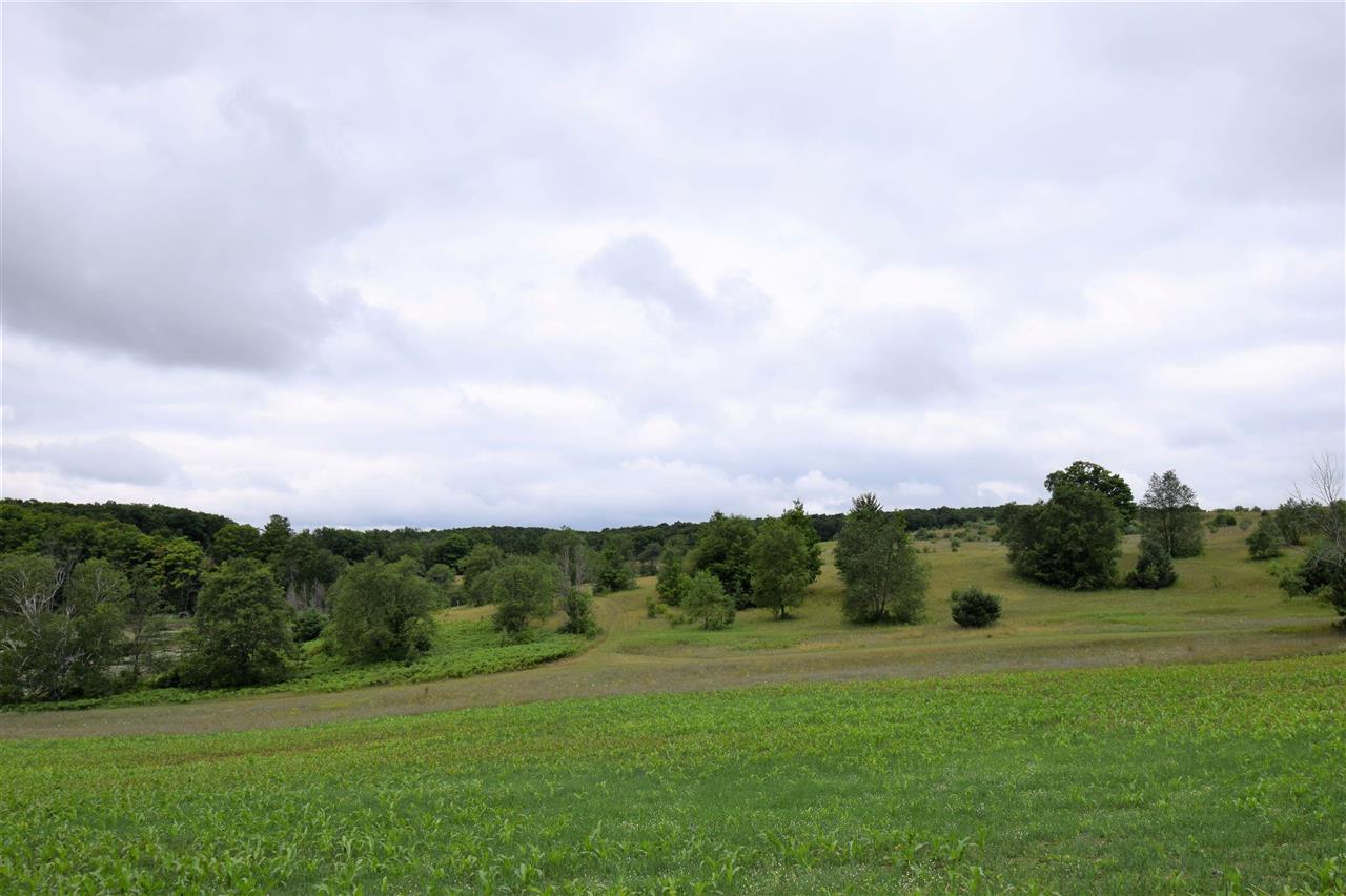 3161 Shook Road Wolverine, MI 49799 - Photo 63 of 65 1890322-62.JPG