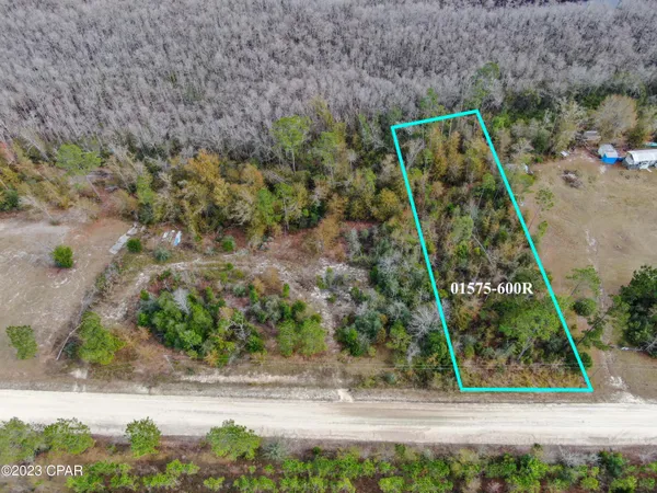 $29,900 | 706 Dead Lakes Drive, Wewahitchka, FL 32465