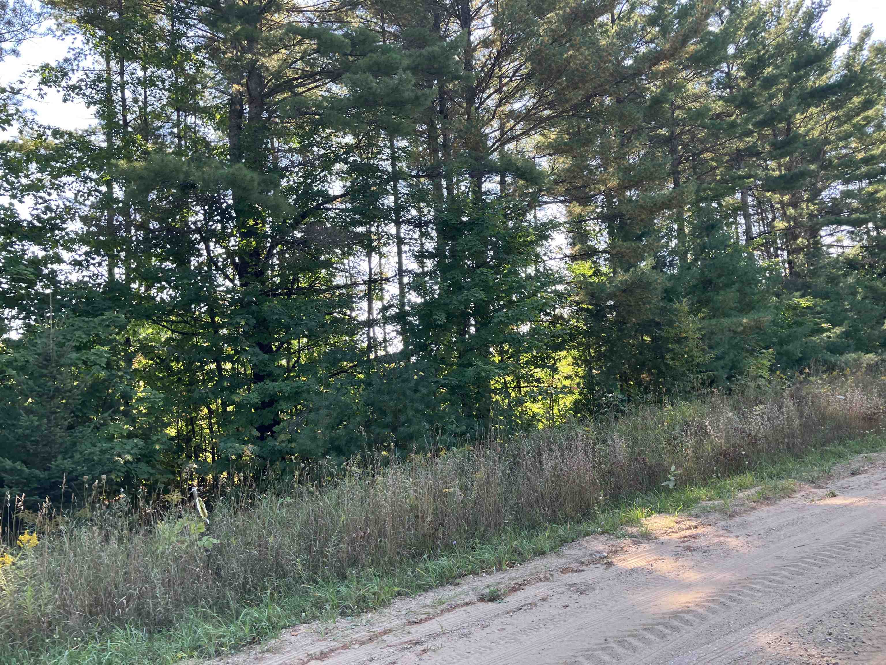 0 Cool Road Southeast, Unit LOT: A Kalkaska, MI 49646 - Photo 8 of 10