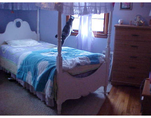 44 Stanton Street Springfield, MA 01108 - Photo 8 of 10