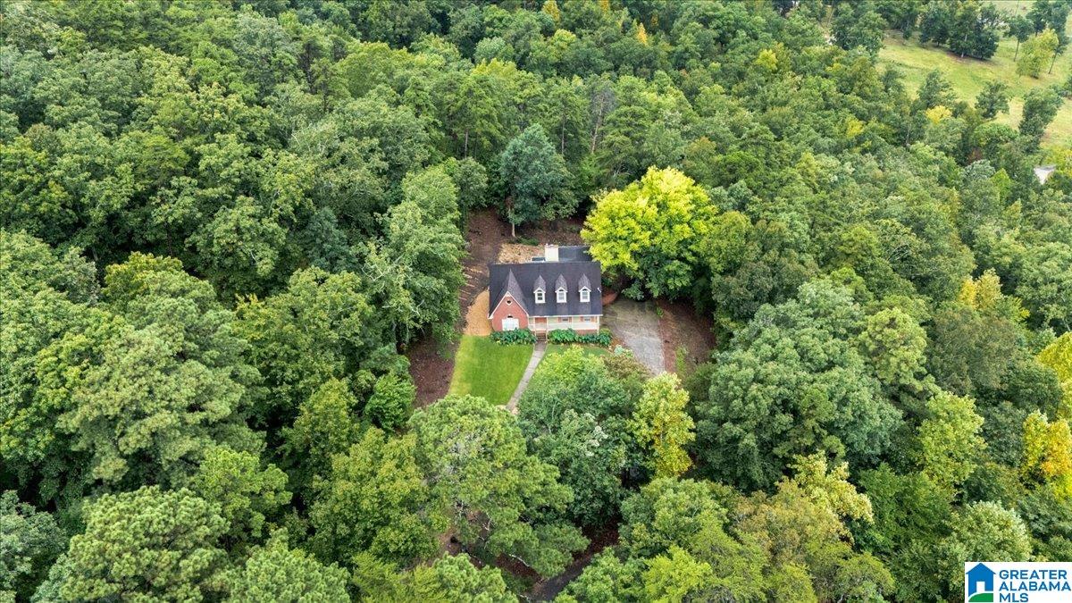 1600 Pine Mountain Road Remlap, AL 35133 - Photo 51 of 56 Gallery Image 51
