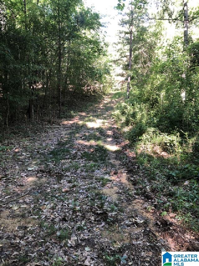 1075 County Road 271, Unit 1 Jemison, AL 35085 - Photo 4 of 8