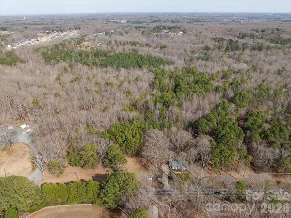 an aerial view of forest