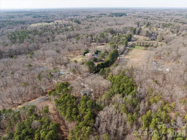 an aerial view of forest