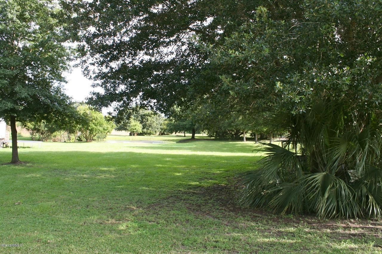 3540 Burkholm Road Mims, FL 32754 - Photo 20 of 27 Burkholm backyard