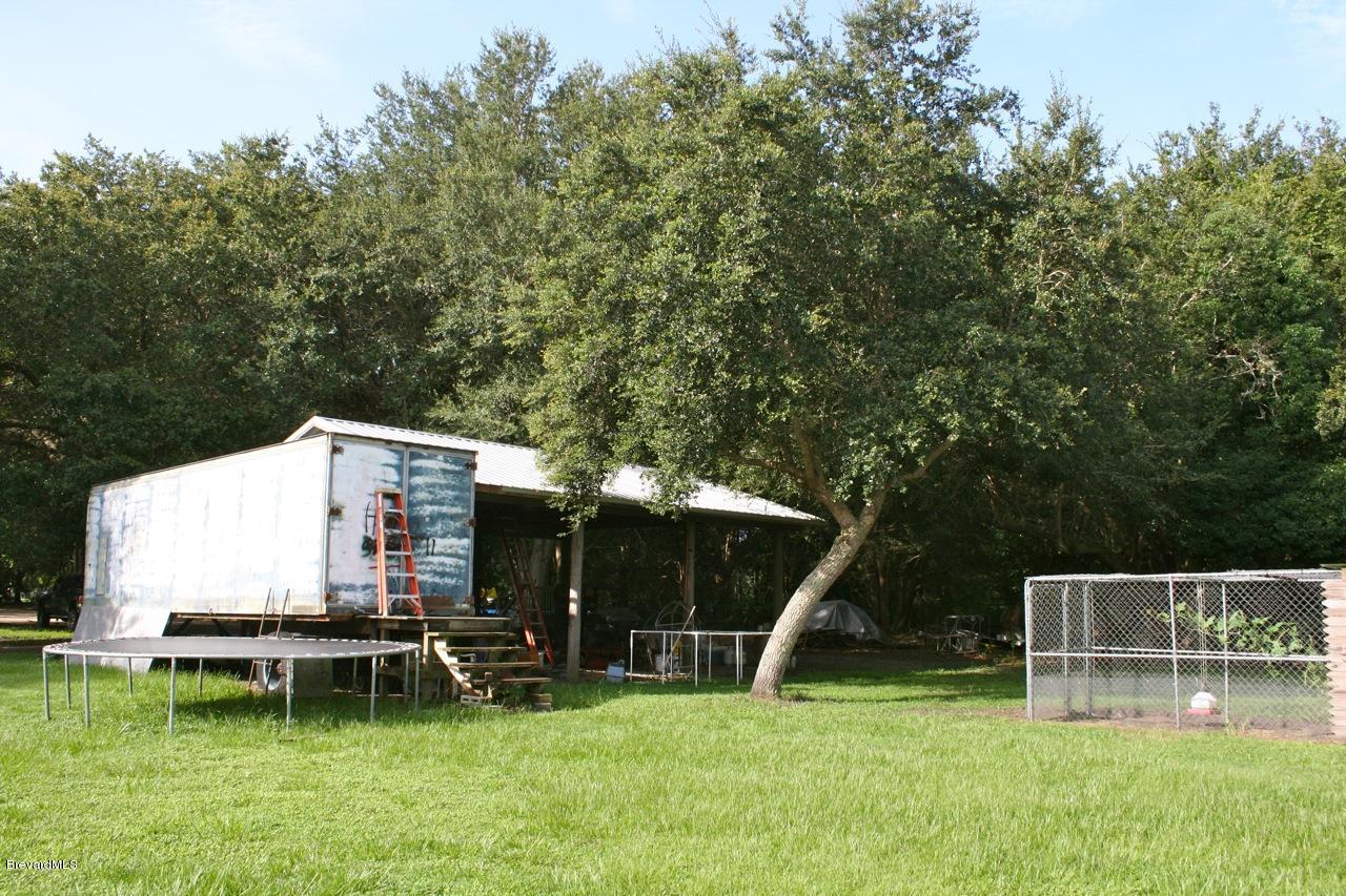 3540 Burkholm Road Mims, FL 32754 - Photo 22 of 27 Burkholm chicks and pole barn
