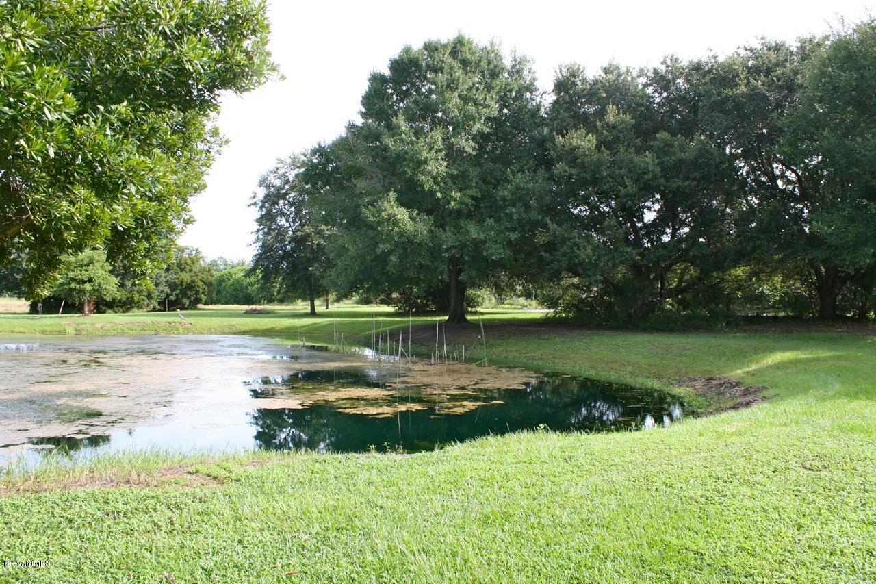 3540 Burkholm Road Mims, FL 32754 - Photo 23 of 27 Burkholm pond 2