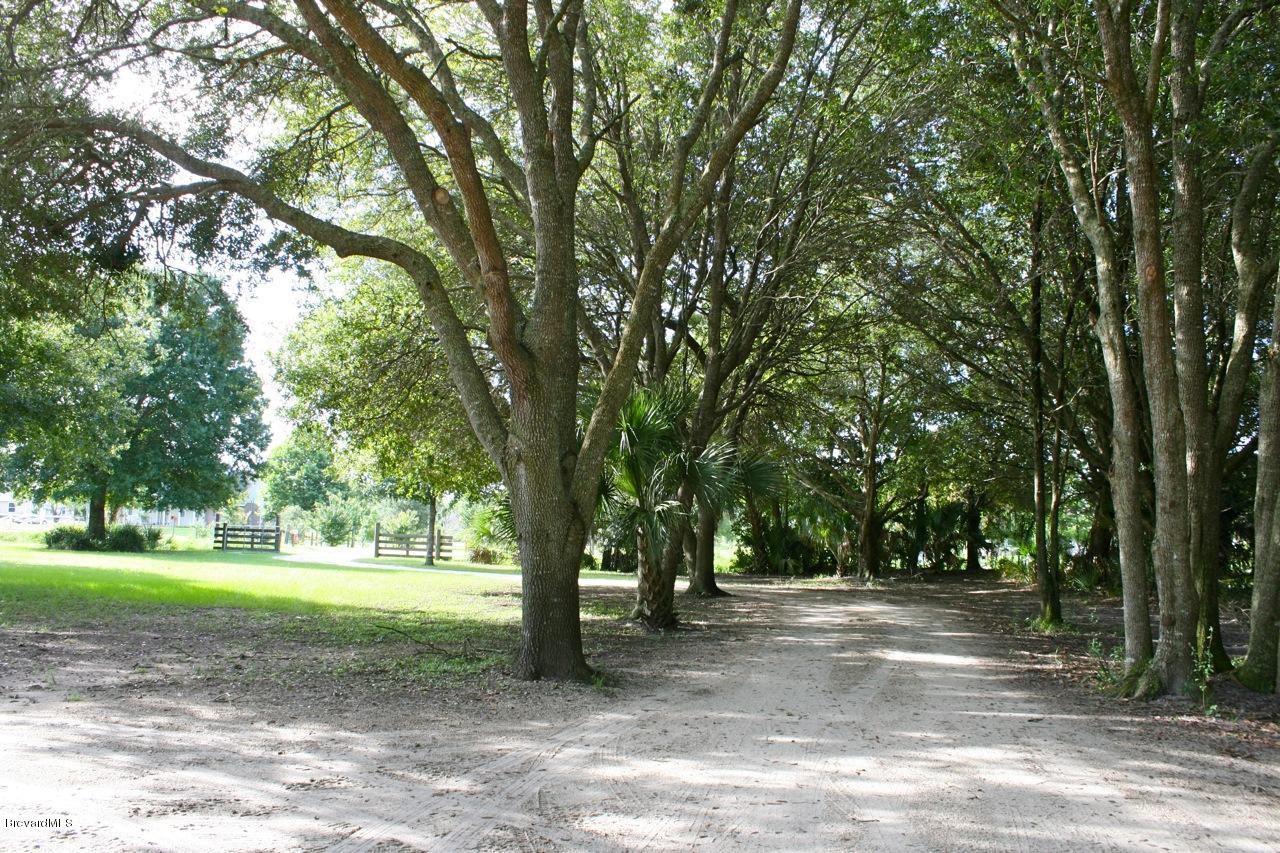 3540 Burkholm Road Mims, FL 32754 - Photo 25 of 27 Burkholm front drive