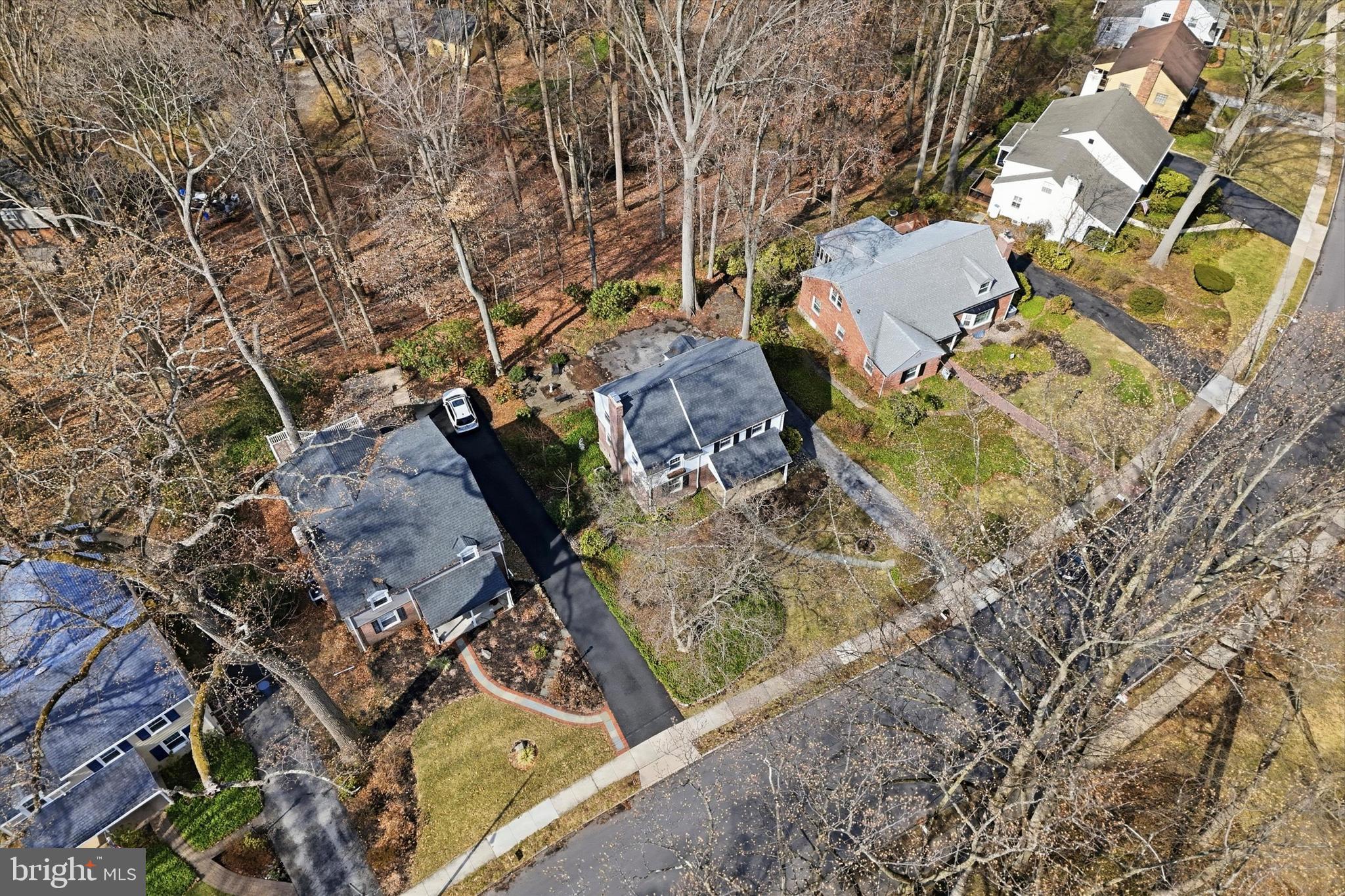 436 Kerr Lane Springfield, PA 19064 - Photo 42 of 52 a view of a yard with plants