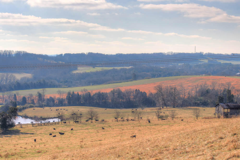 625 James Ridge Road Loudon, TN 37774 - Photo 11 of 11 + Percpetions (34)