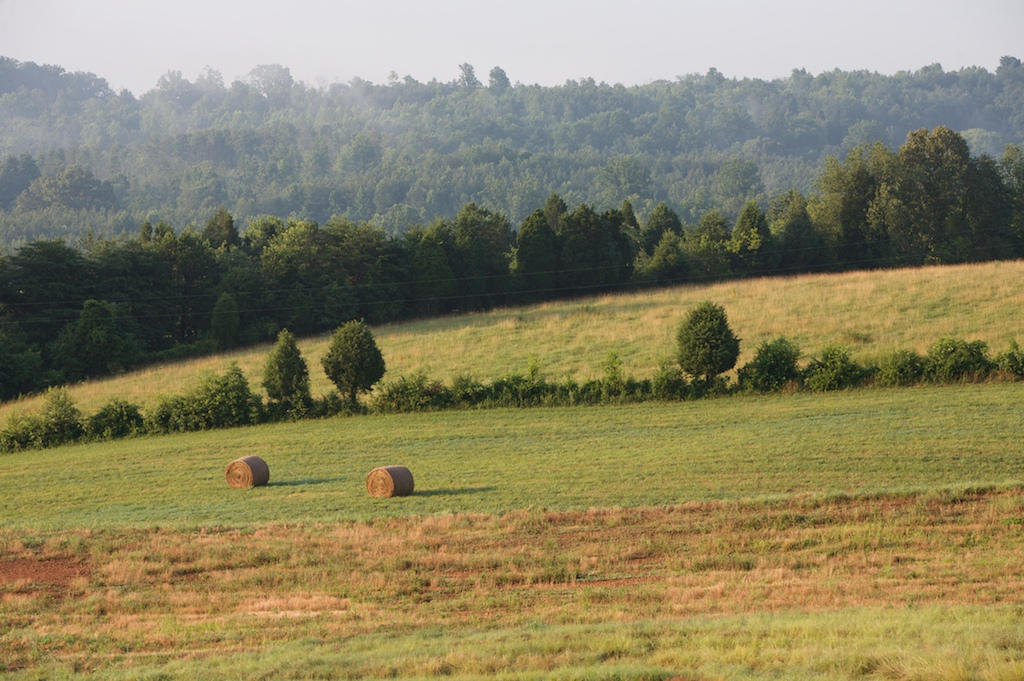 625 James Ridge Road Loudon, TN 37774 - Photo 6 of 11 james ridge _0103