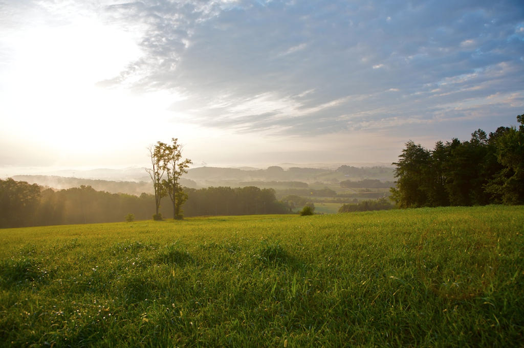 625 James Ridge Road Loudon, TN 37774 - Photo 8 of 11 Land view JR