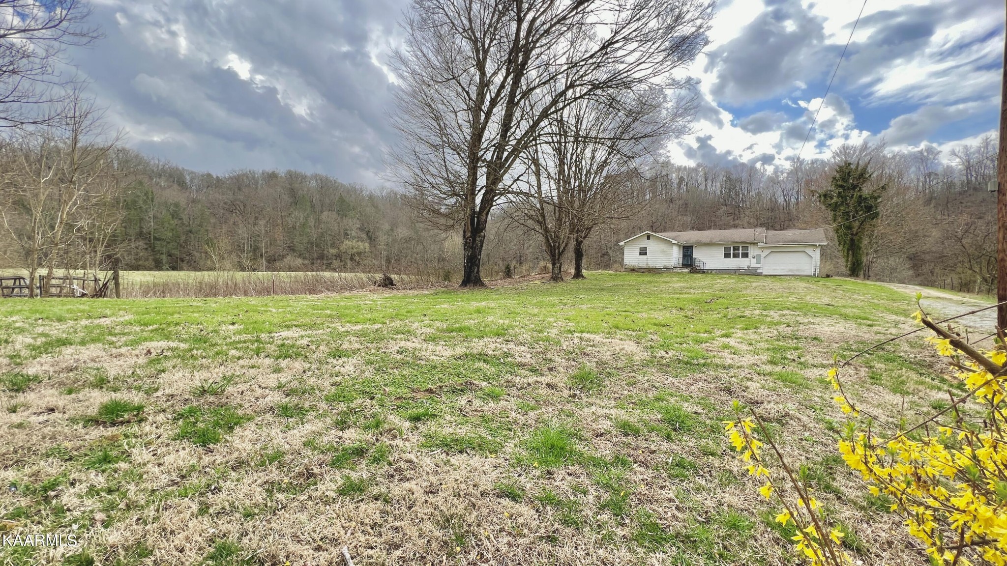 1547 Dripping Springs Road Seymour, TN 37865 - Photo 7 of 58