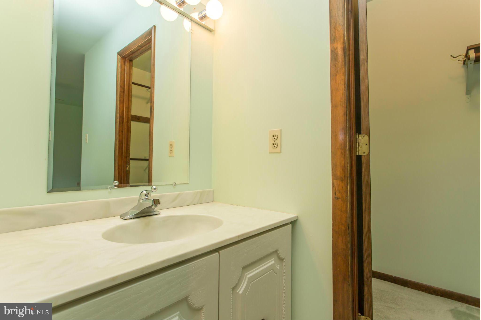 104 Pleasant Grove Road Locust Grove, VA 22508 - Photo 14 of 30 Master Bath has 2 vanities