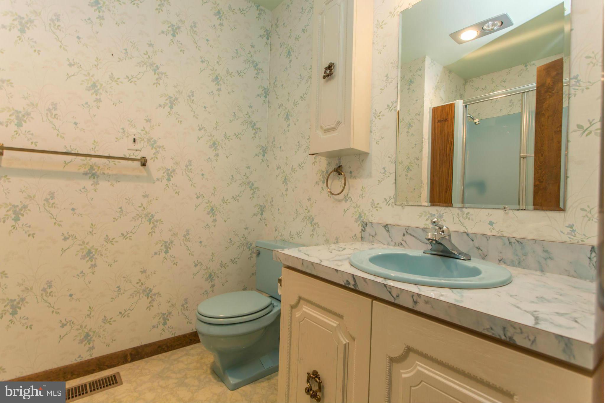 104 Pleasant Grove Road Locust Grove, VA 22508 - Photo 15 of 30 Master Bath furnished with shower-tub combo