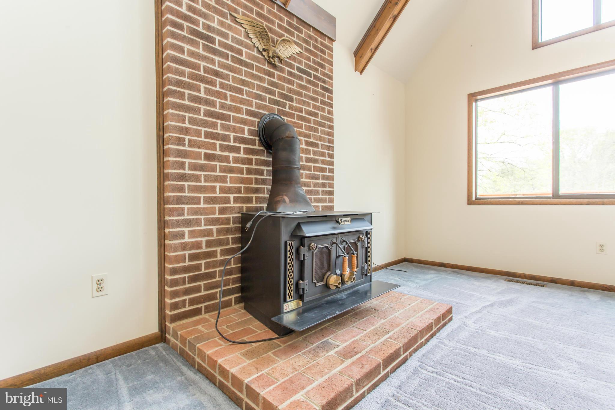 104 Pleasant Grove Road Locust Grove, VA 22508 - Photo 4 of 30 Wood burning fireplace