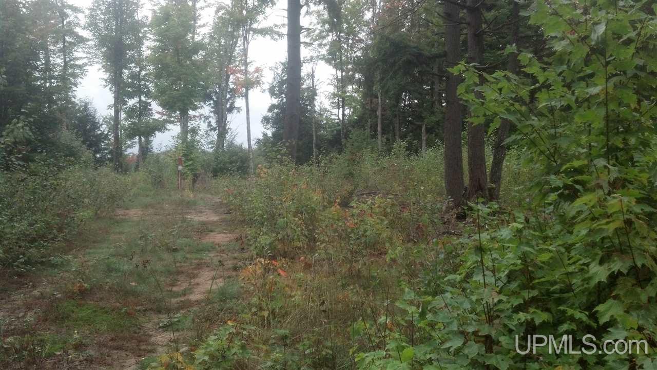 E7139 Carlson Road Munising, MI 49862 - Photo 14 of 17
