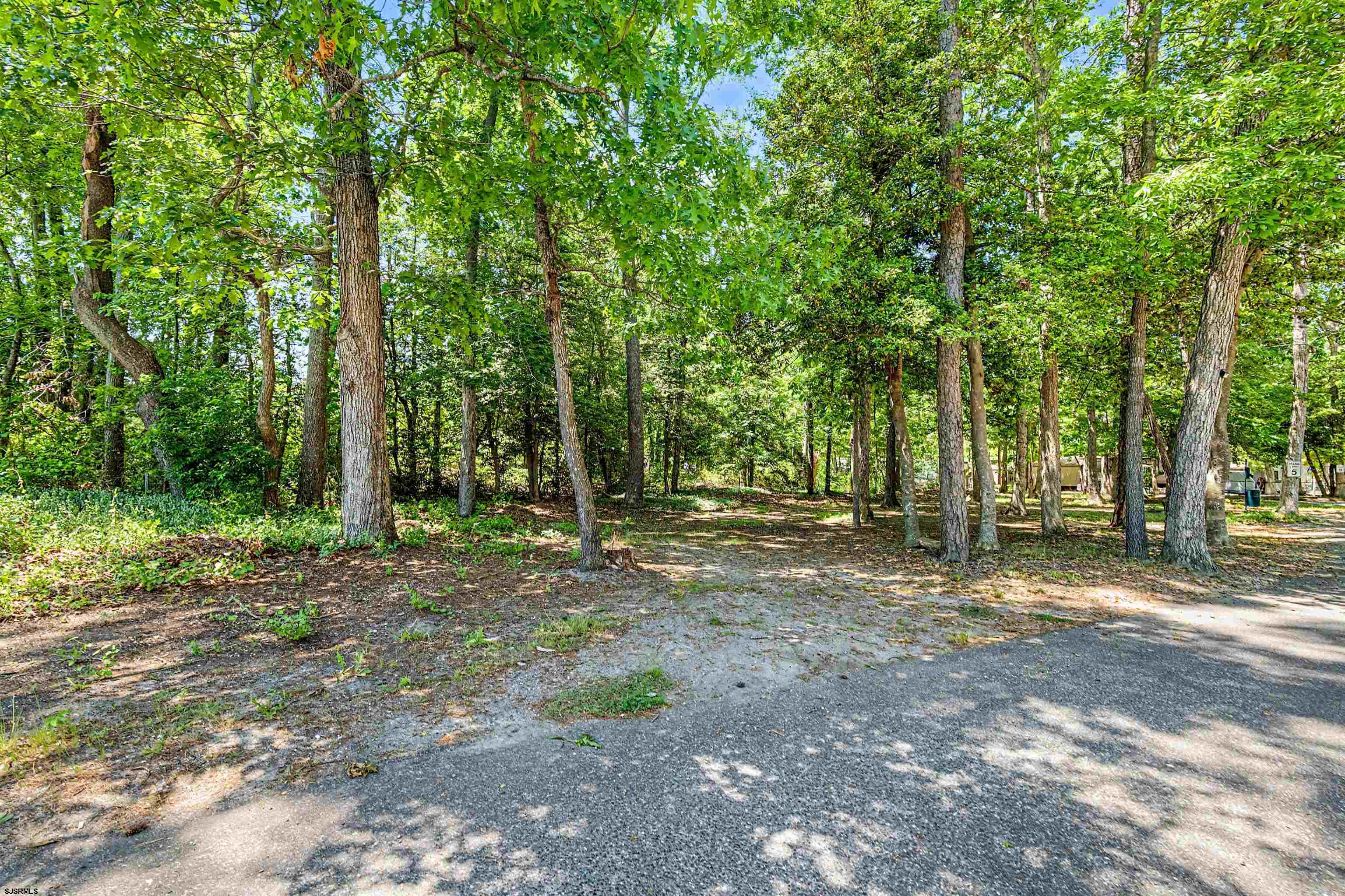 3066 Route 9 Ocean View, NJ 08230 - Photo 5 of 29 a view of a forest with trees in the background