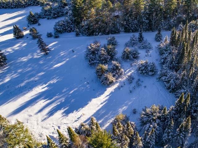 On Logging Road Eagle River, WI 54521 - Photo 5 of 8 Gallery Image 5