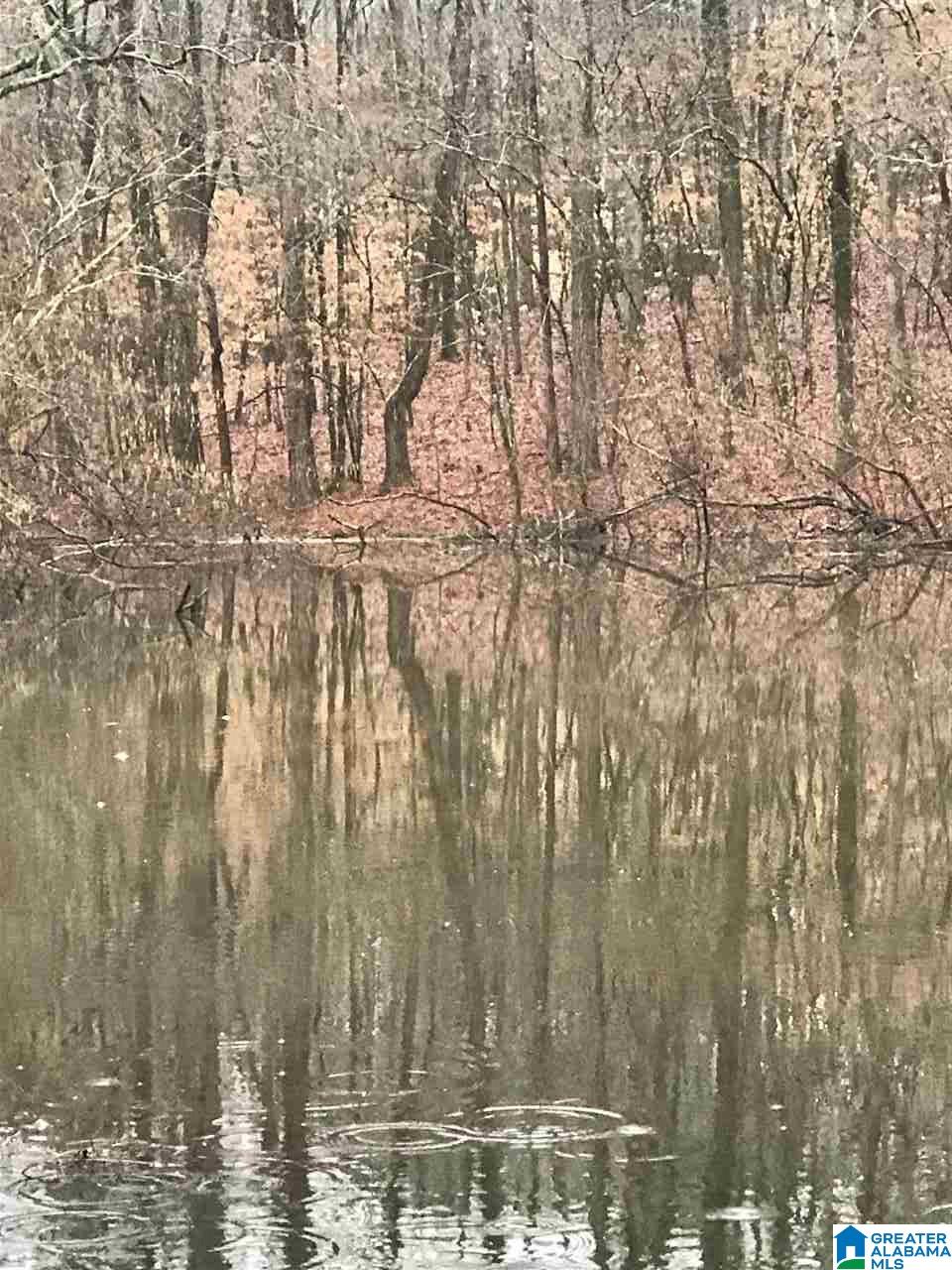 0 Maddox Road, Unit 1 Pell City, AL 35125 - Photo 3 of 10
