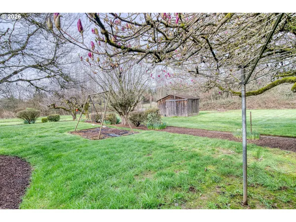 a view of a backyard