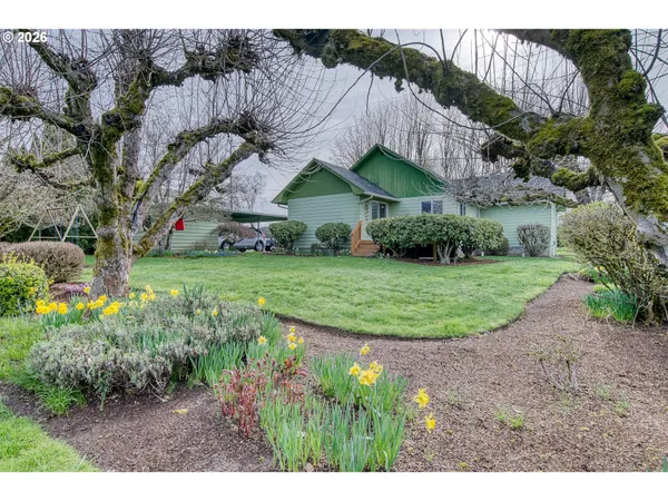 a view of a backyard