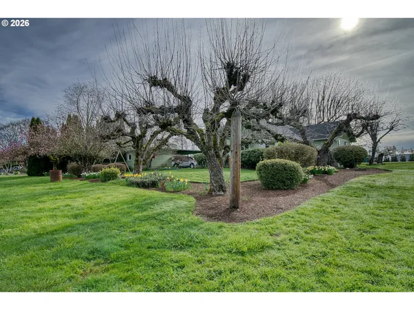 a view of a yard in front of house