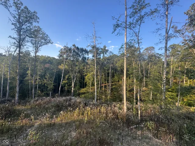 $55,000 | 4000 Highway 135, Medora, IN 47260