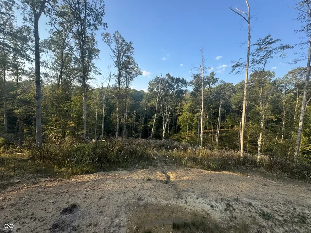 $55,000 | 4000 Highway 135, Medora, IN 47260