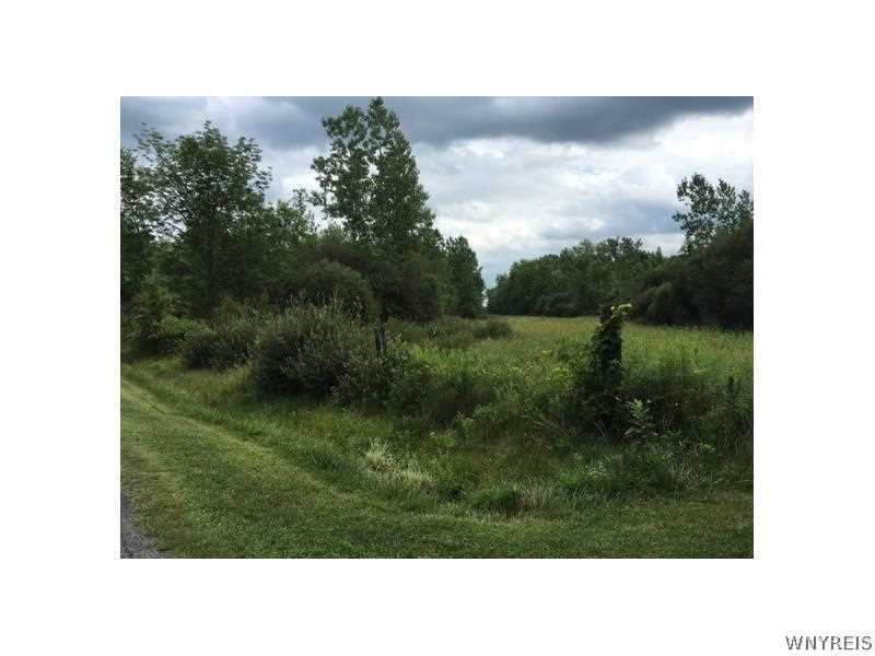 9199 Sesh Road Clarence, NY 14032 - Photo 1 of 1 Land.