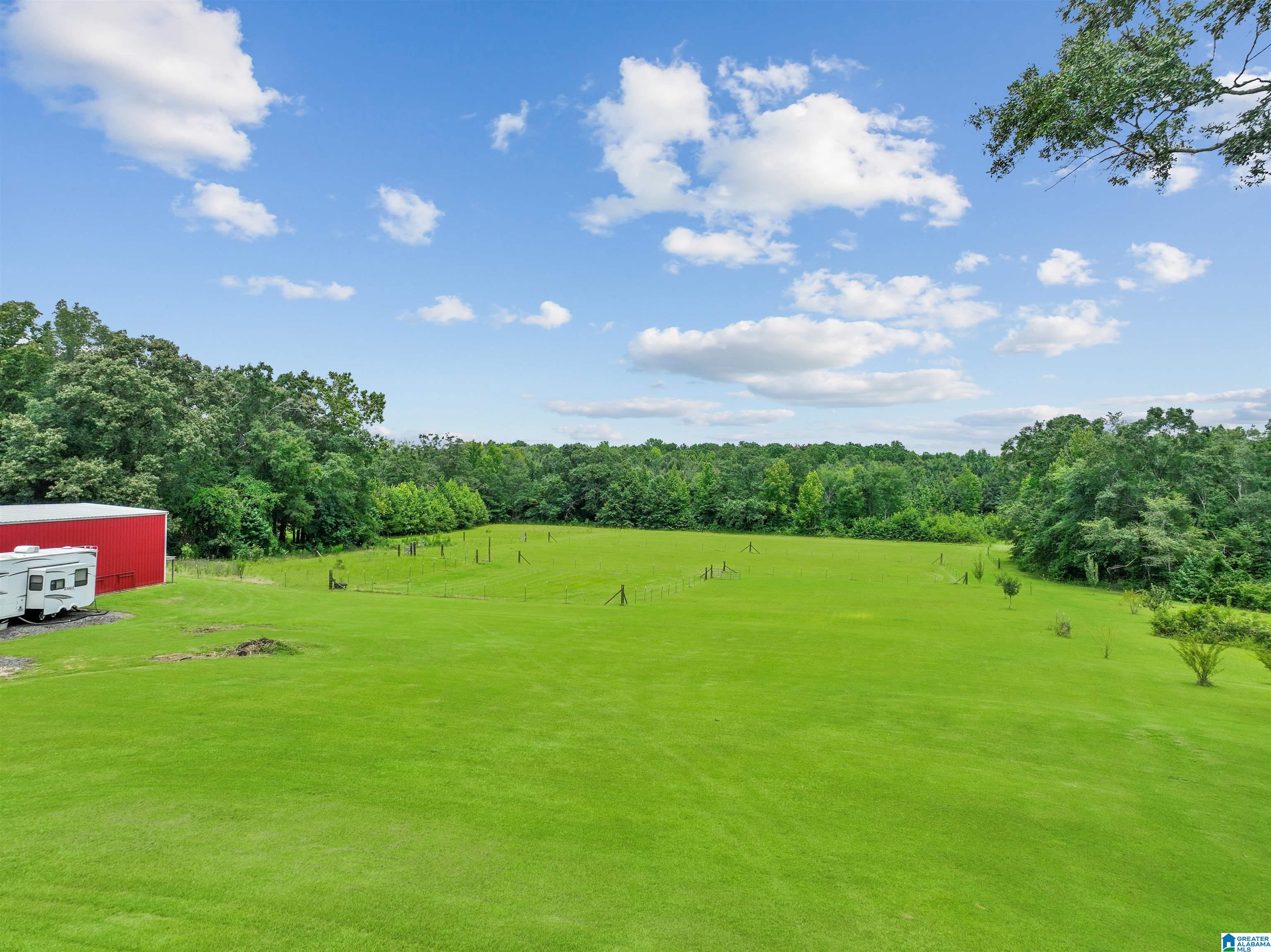871 County Road 53 Clanton, AL 35045 - Photo 36 of 65