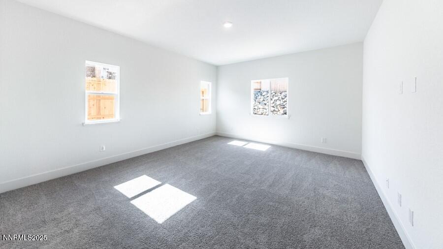 1283 Coco Drive Carson City, NV 89705 - Photo 14 of 22 Primary Bedroom