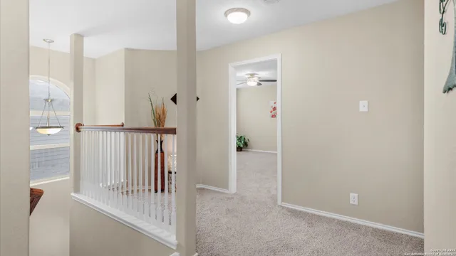 an empty room with potted plant