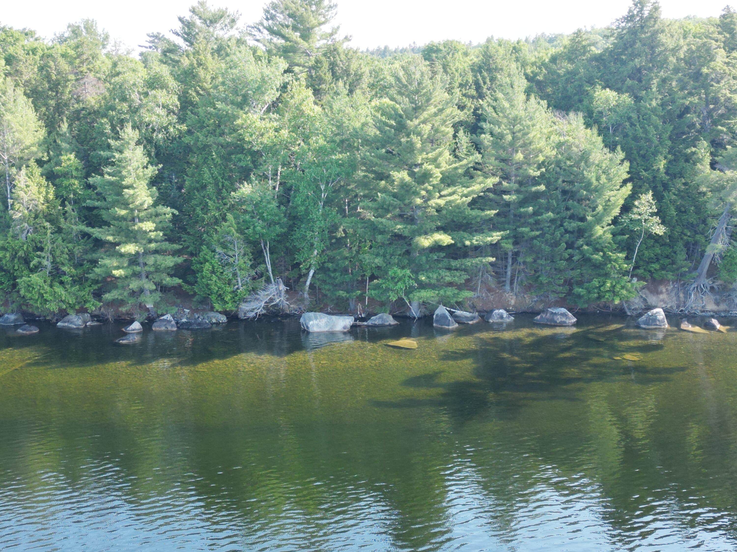 10 Black Point Road Beaver Cove, ME 04441 - Photo 1 of 16 DJI_0695