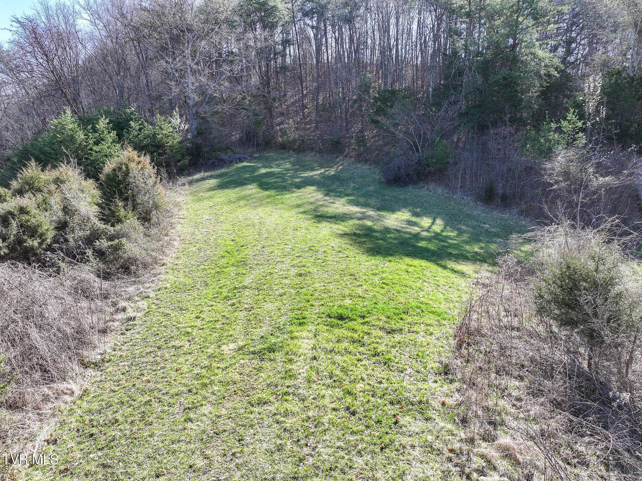 640 Twin Barns Road Greeneville, TN 37743 - Photo 9 of 39 9