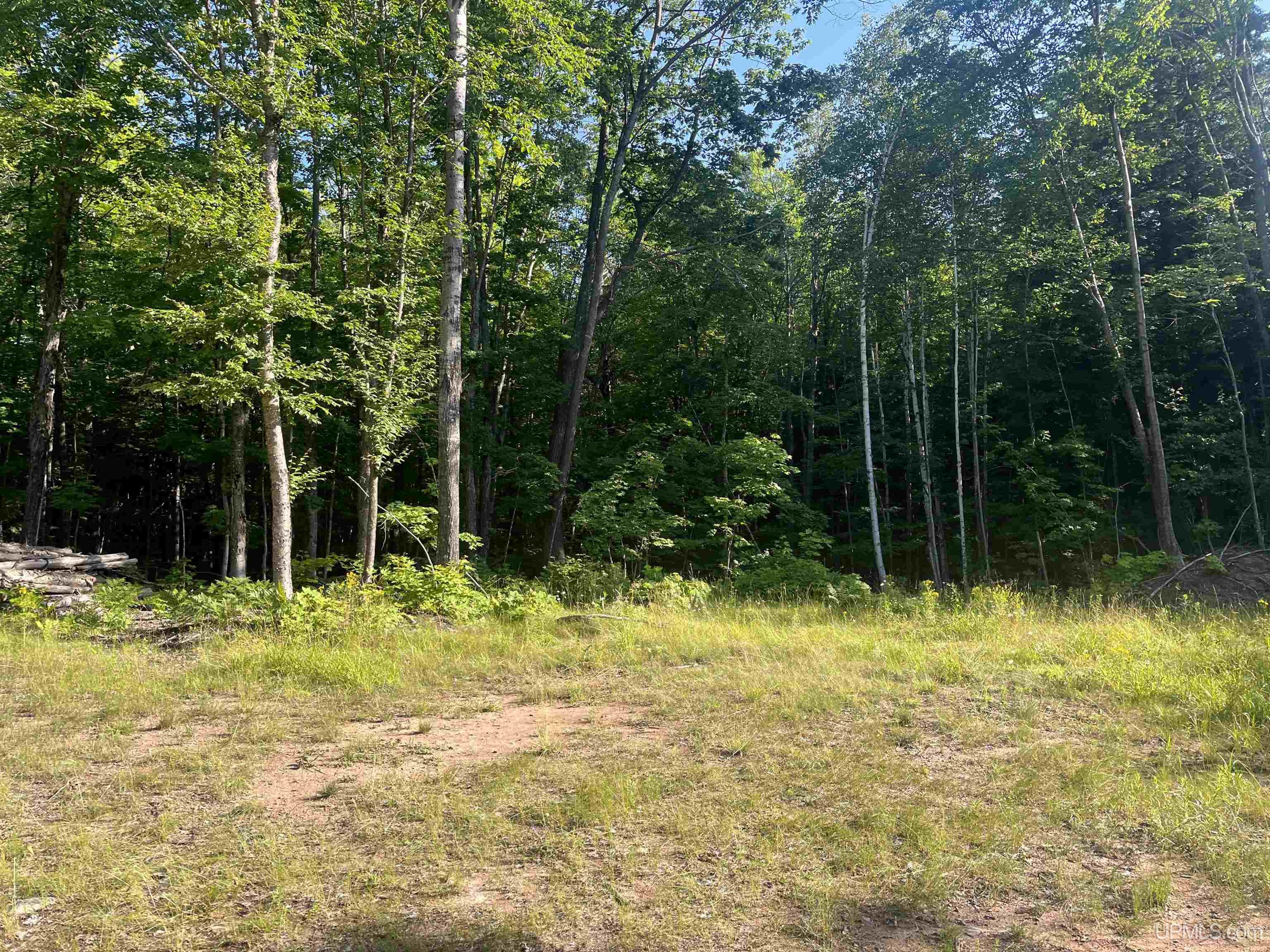 510 Rd Ishpeming Mi 49849 Road Negaunee, MI 49866 - Photo 6 of 33