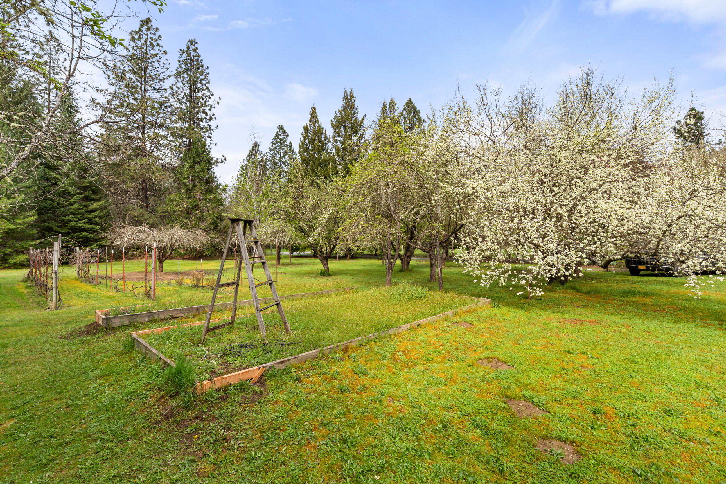 315 Queens Branch Road Rogue River, OR 97537 - Photo 31 of 42 Garden Area