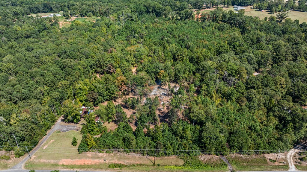 299 South L Street Hamilton, GA 31811 - Photo 11 of 36 an aerial view of a house with a yard