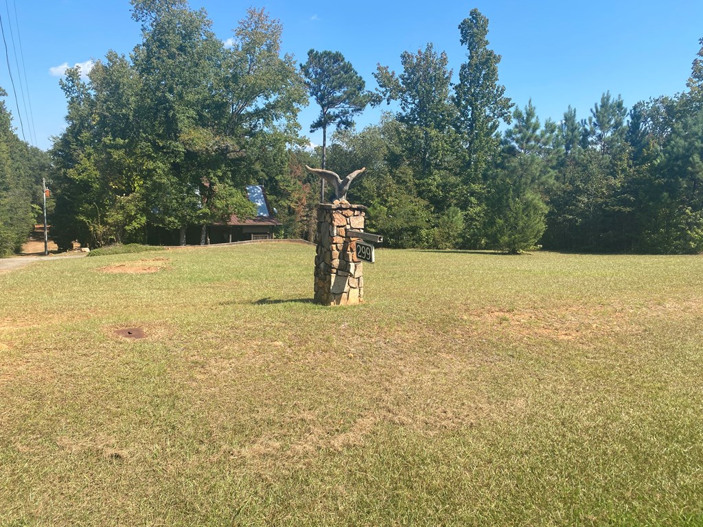 299 South L Street Hamilton, GA 31811 - Photo 12 of 36 a view of a field with an trees